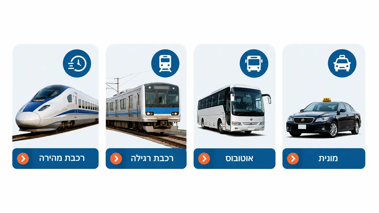 מנריטה למרכז טוקיו - האפשרויות והשיקולים